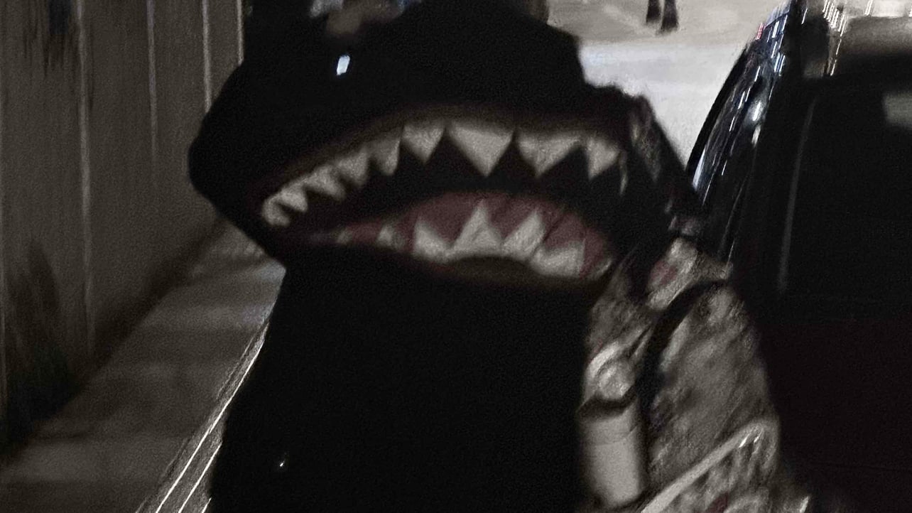 Purplefox (purplefox667) Farcaster social identity (Fname handle) PFP