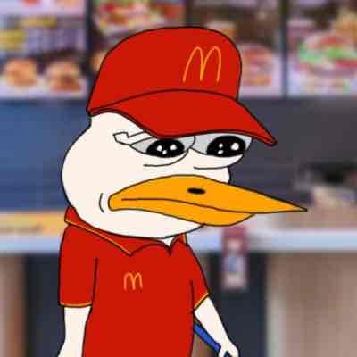 1saevv pfp