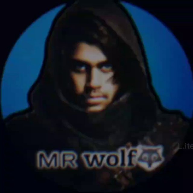 MrWolf pfp