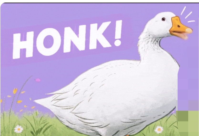 HONK
