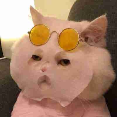 soulmateu pfp
