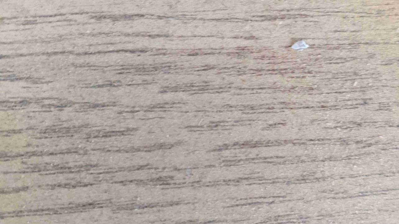 Djp (djptest) Farcaster social identity (Fname handle) PFP