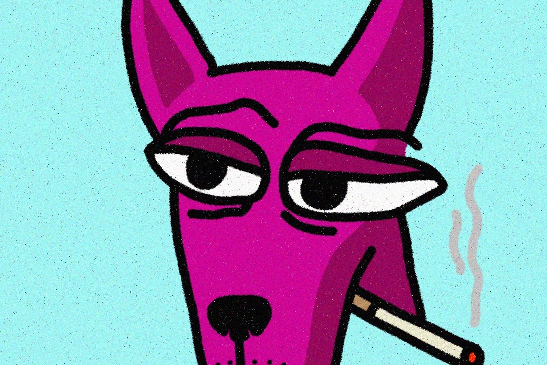 diegovas pfp