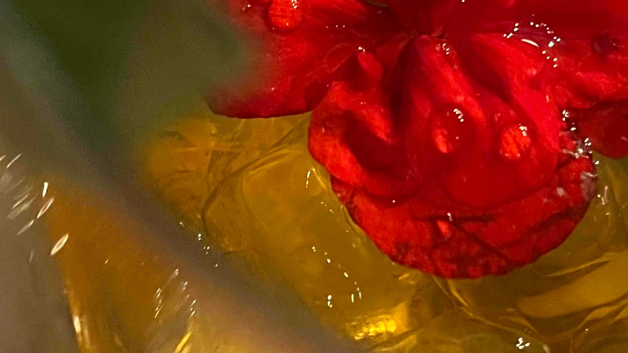 Vaivel (vaiver) Farcaster social identity (Fname handle) PFP