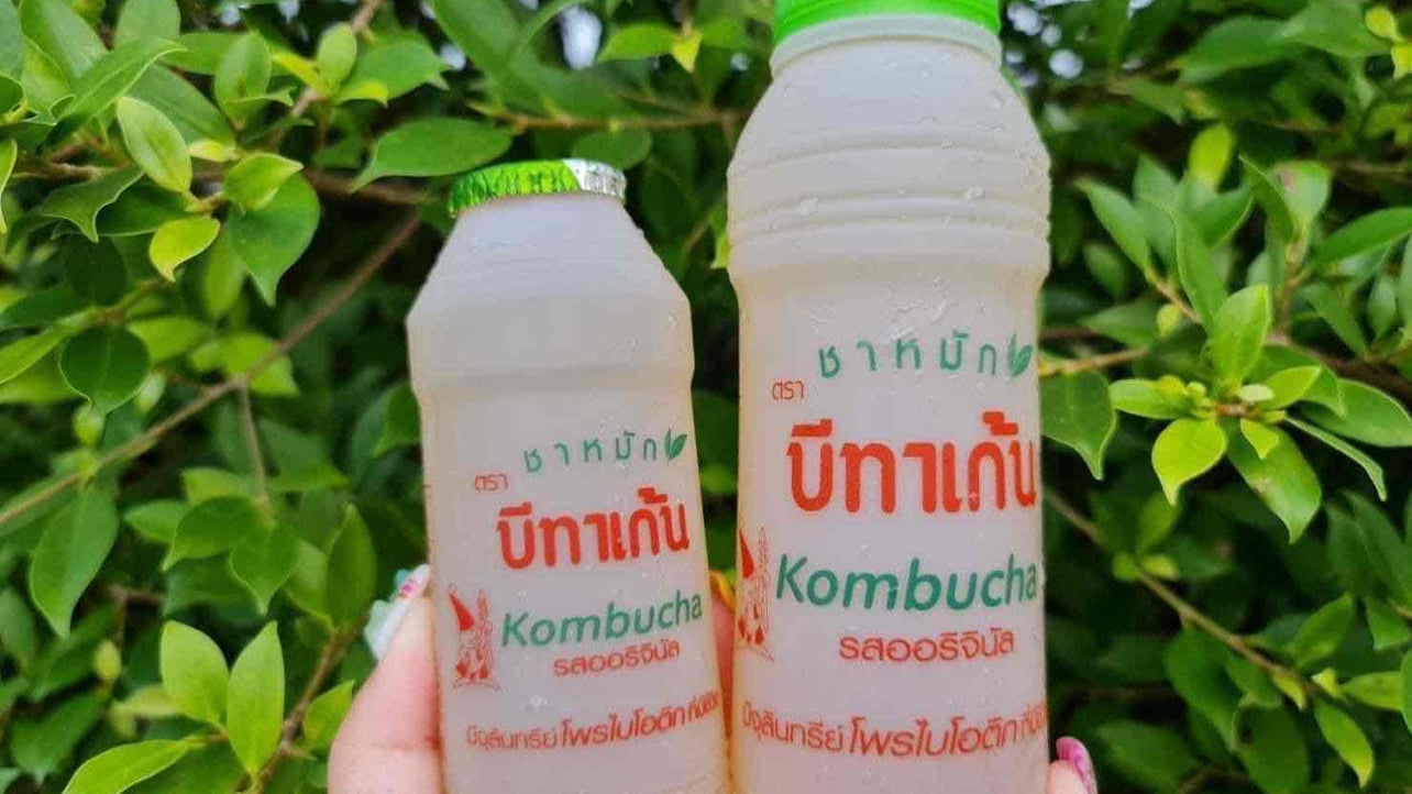 kateaung (kateaung.lens) Lens social identity (.lens handle) PFP