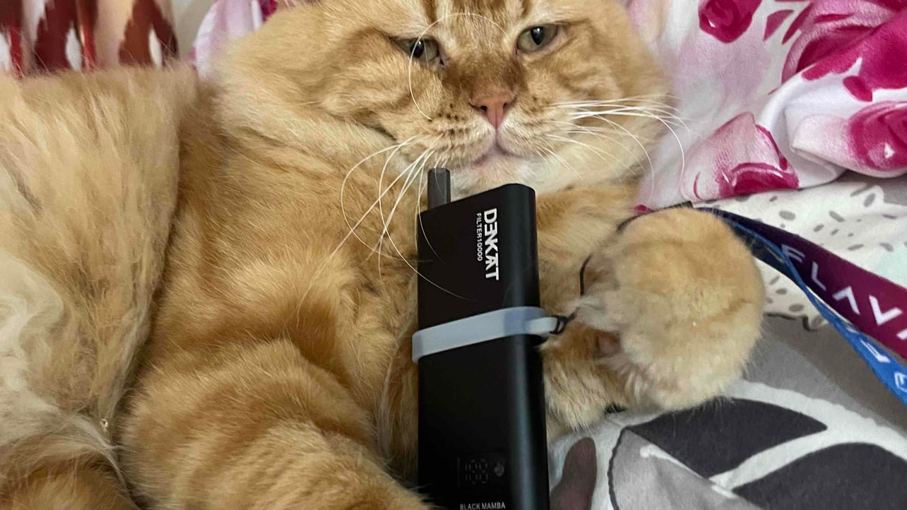 Willkins base.eth (willkins) Farcaster social identity (Fname handle) PFP