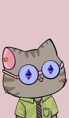 Kryptokeycat pfp