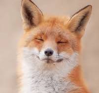 sergic333.linea.eth Linea Name Service (.linea.eth domains) based on ENS PFP