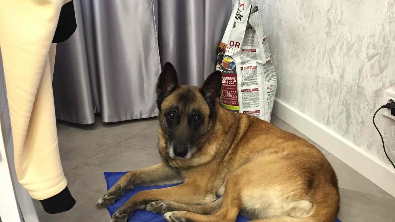 Reabok (reabok.lens) Lens social identity (.lens handle) PFP