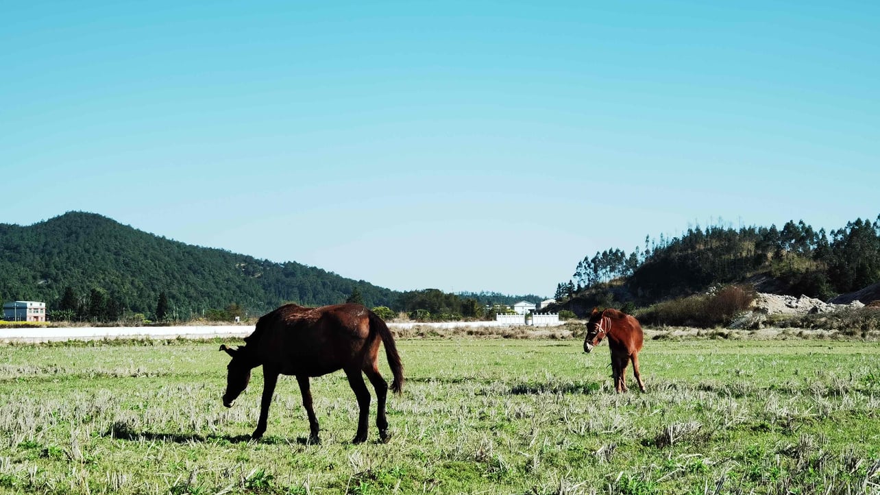 hei7687 (hei7687.lens) Lens social identity (.lens handle) PFP