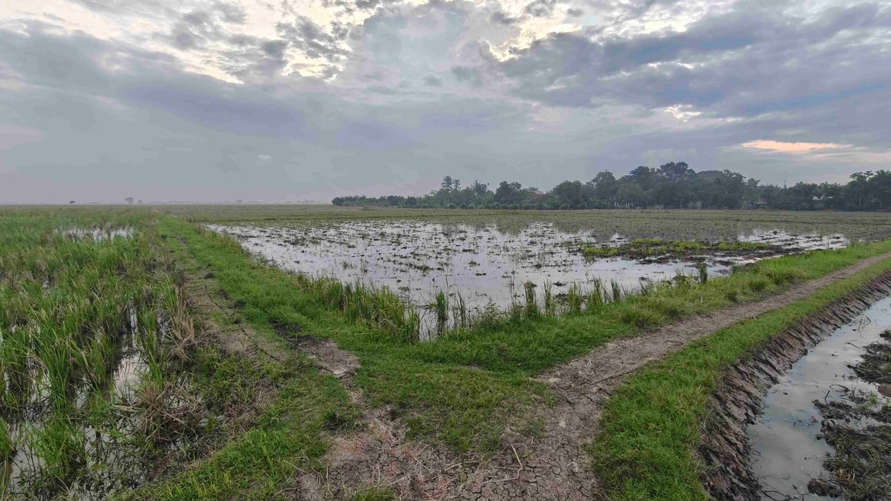 Dorayama (mase3) Farcaster social identity (Fname handle) PFP