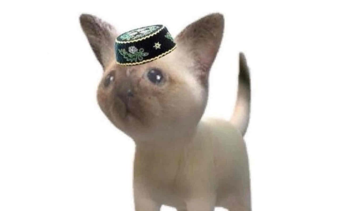 Robert's Farcaster avatar