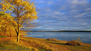 sdegg (dfhsfh) Farcaster social identity (Fname handle) PFP