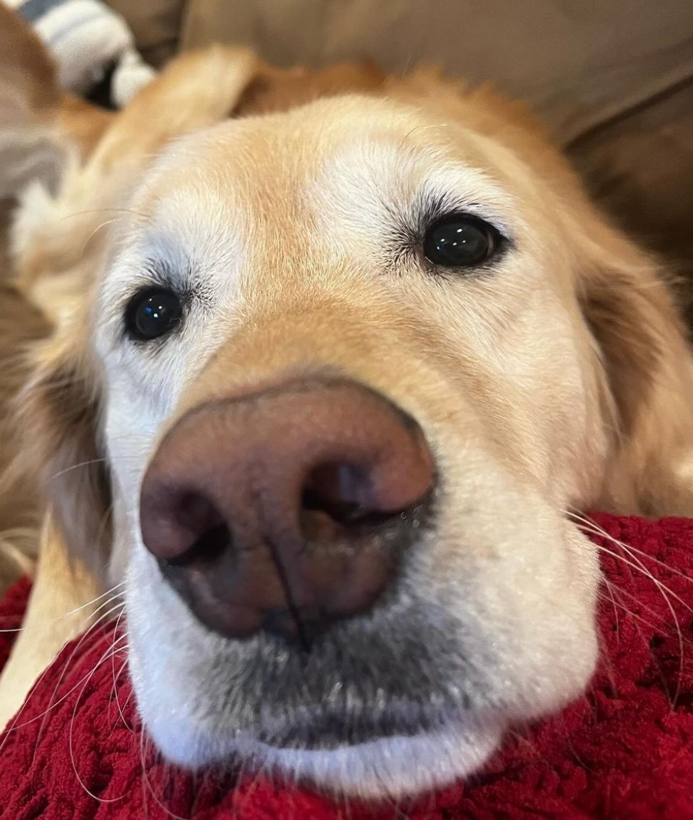 Winnie