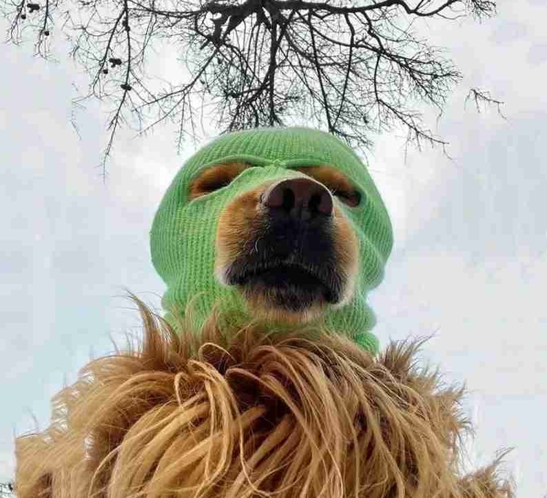 Broke-ski-lover (broke-ski-lover) Farcaster social identity (Fname handle) PFP