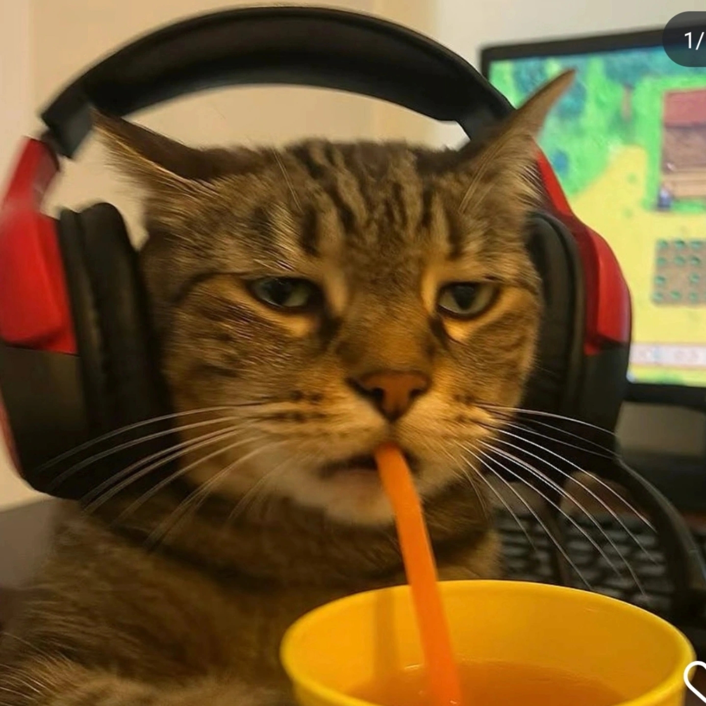 zeroname (aryayusril) Farcaster social identity (Fname handle) PFP