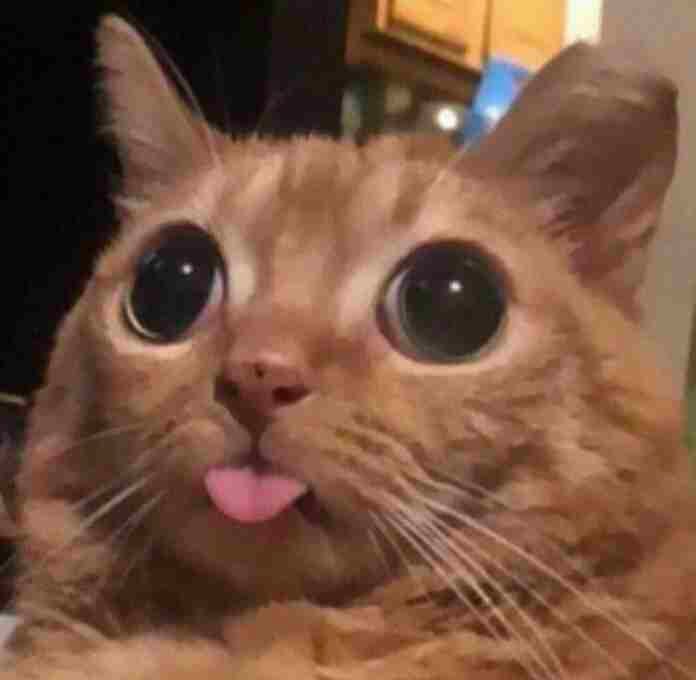 degentard (degentard.lens) Lens social identity (.lens handle) PFP