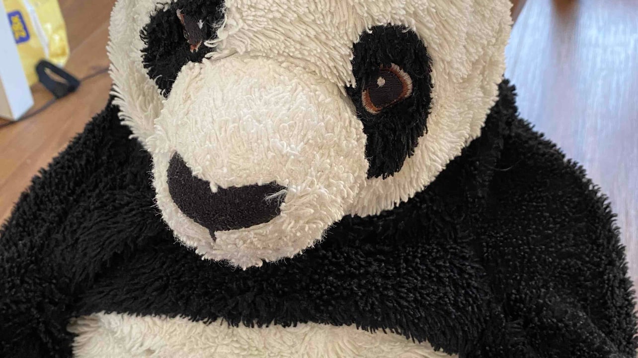 frt90.lens Lens social identity (.lens handle) PFP