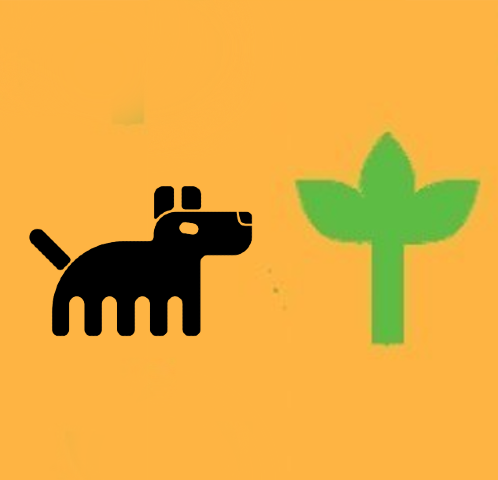 didakoo.com - Jungle's Farcaster avatar