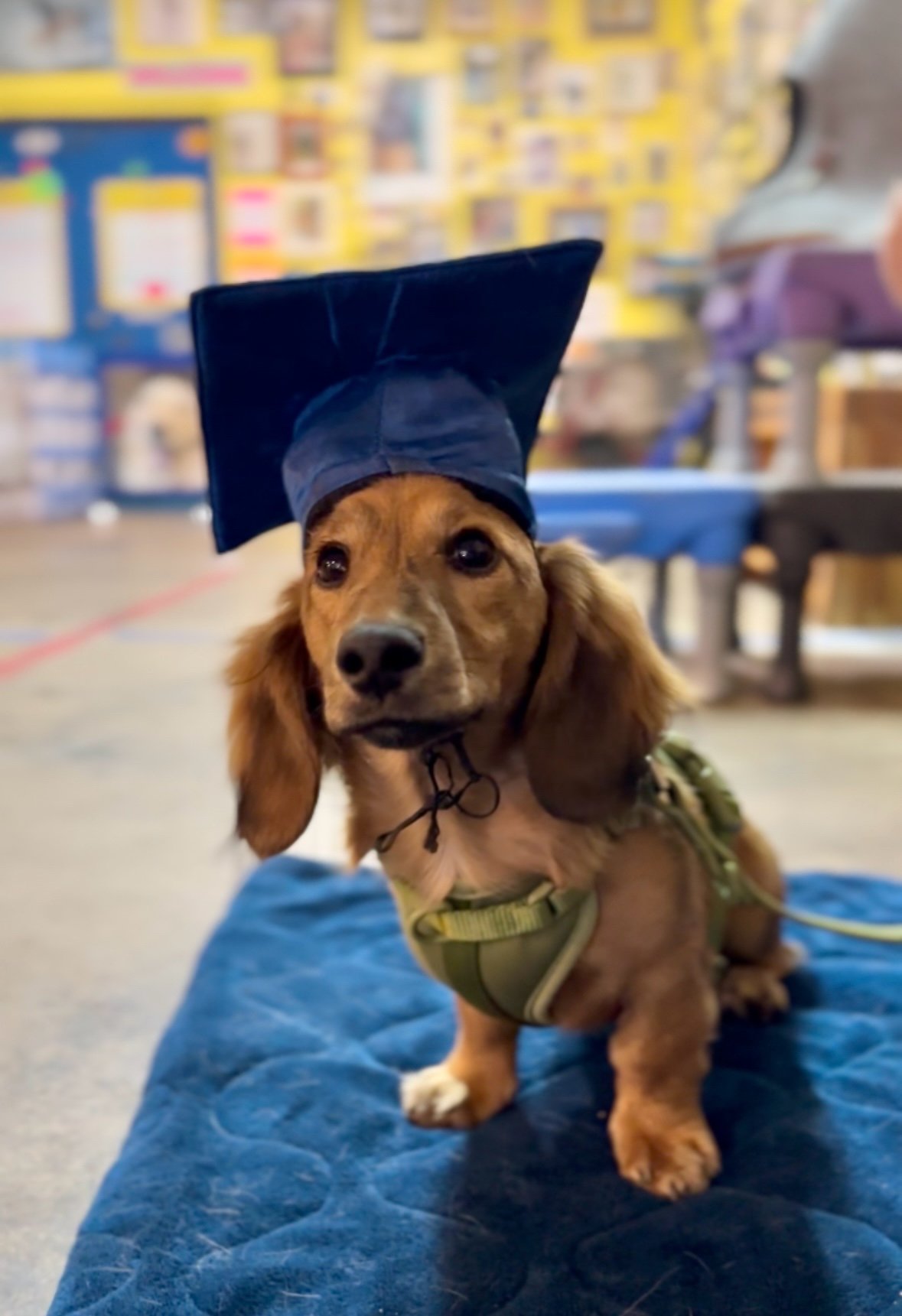 Embed from @bertwurst.eth