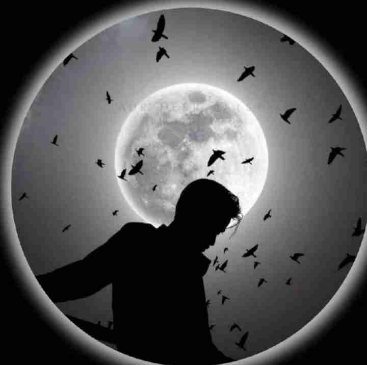 Tanim (tanimmsh) Farcaster social identity (Fname handle) PFP