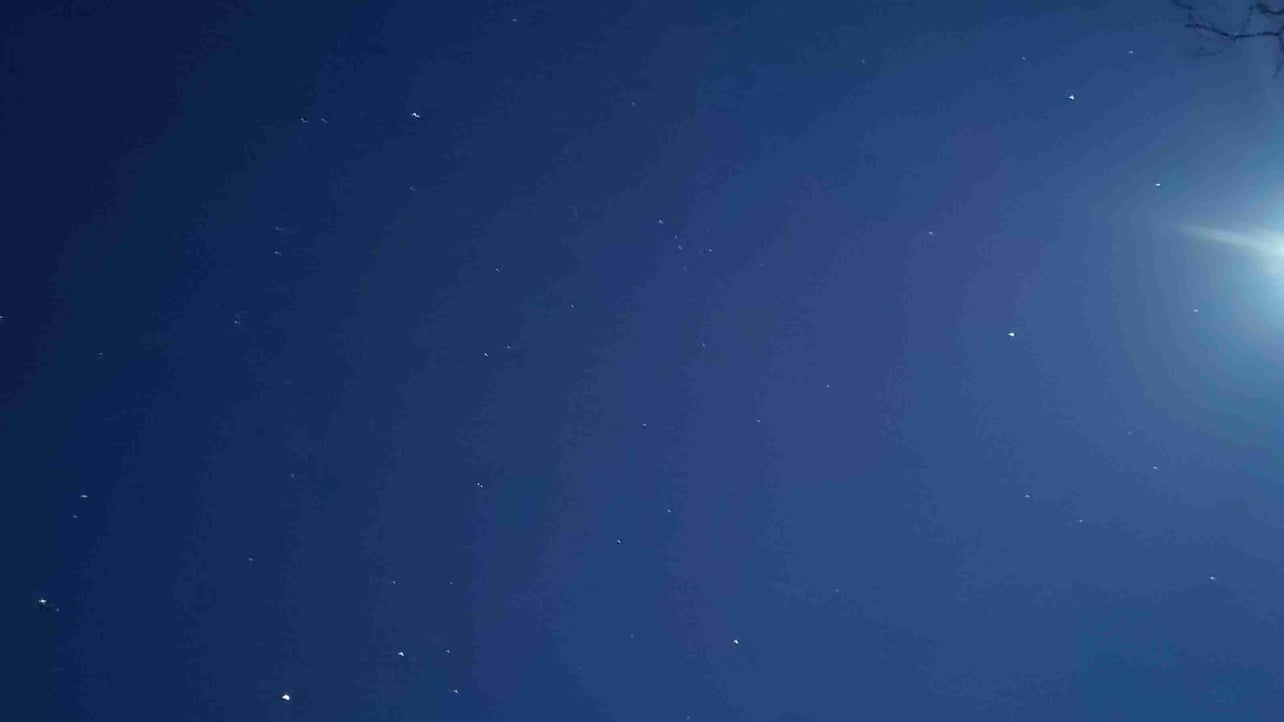 cgggvgvgvg.lens Lens social identity (.lens handle) PFP