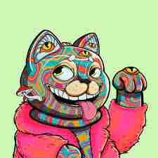 PilloreTallgasys pfp