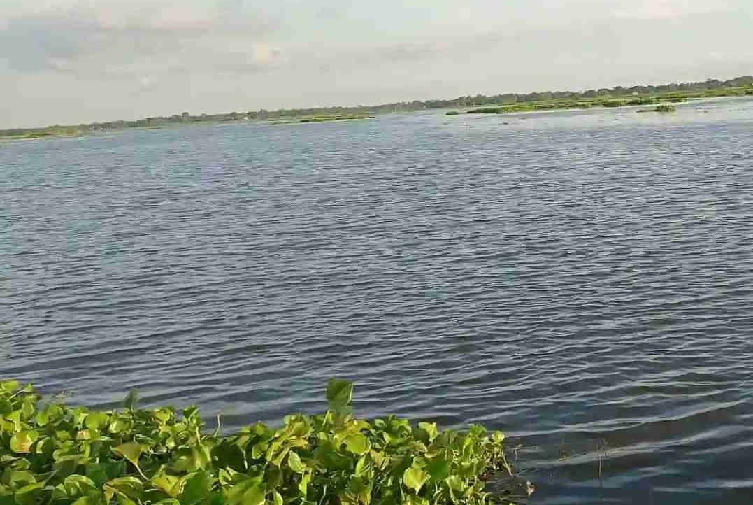 Sumon (cryptobizz.lens) Lens social identity (.lens handle) PFP