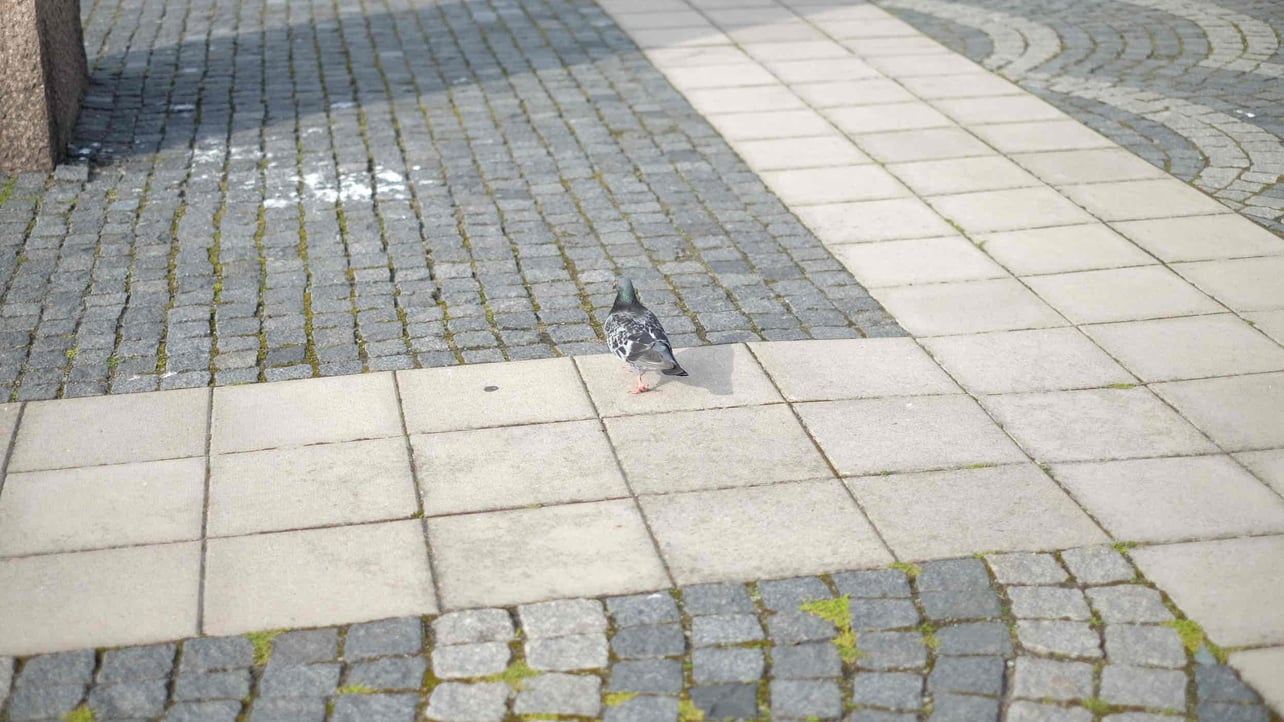 Aquamadez (aquamadez) Farcaster social identity (Fname handle) PFP