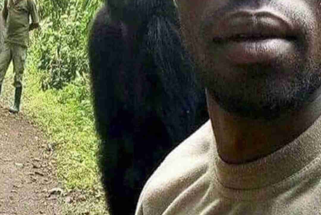 simga69 (bialymurzyn.lens) Lens social identity (.lens handle) PFP