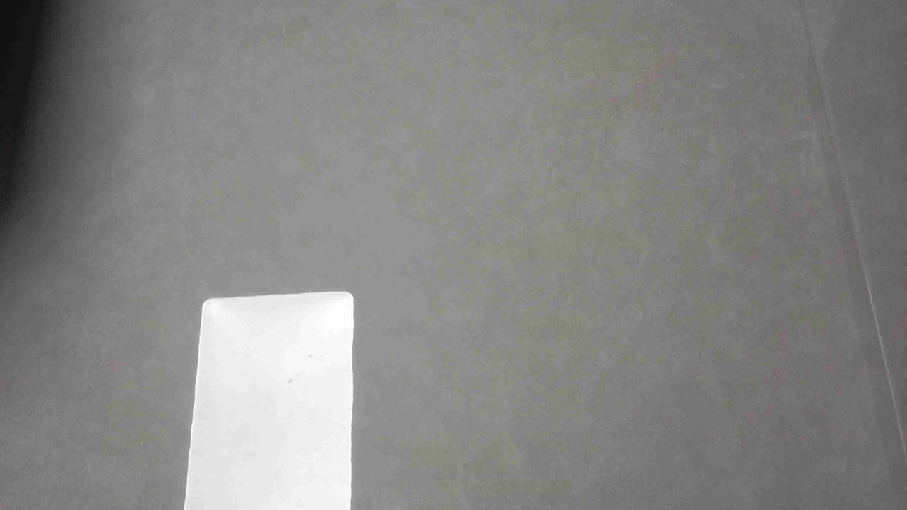 xiaoniao (jinrishangxian.lens) Lens social identity (.lens handle) PFP