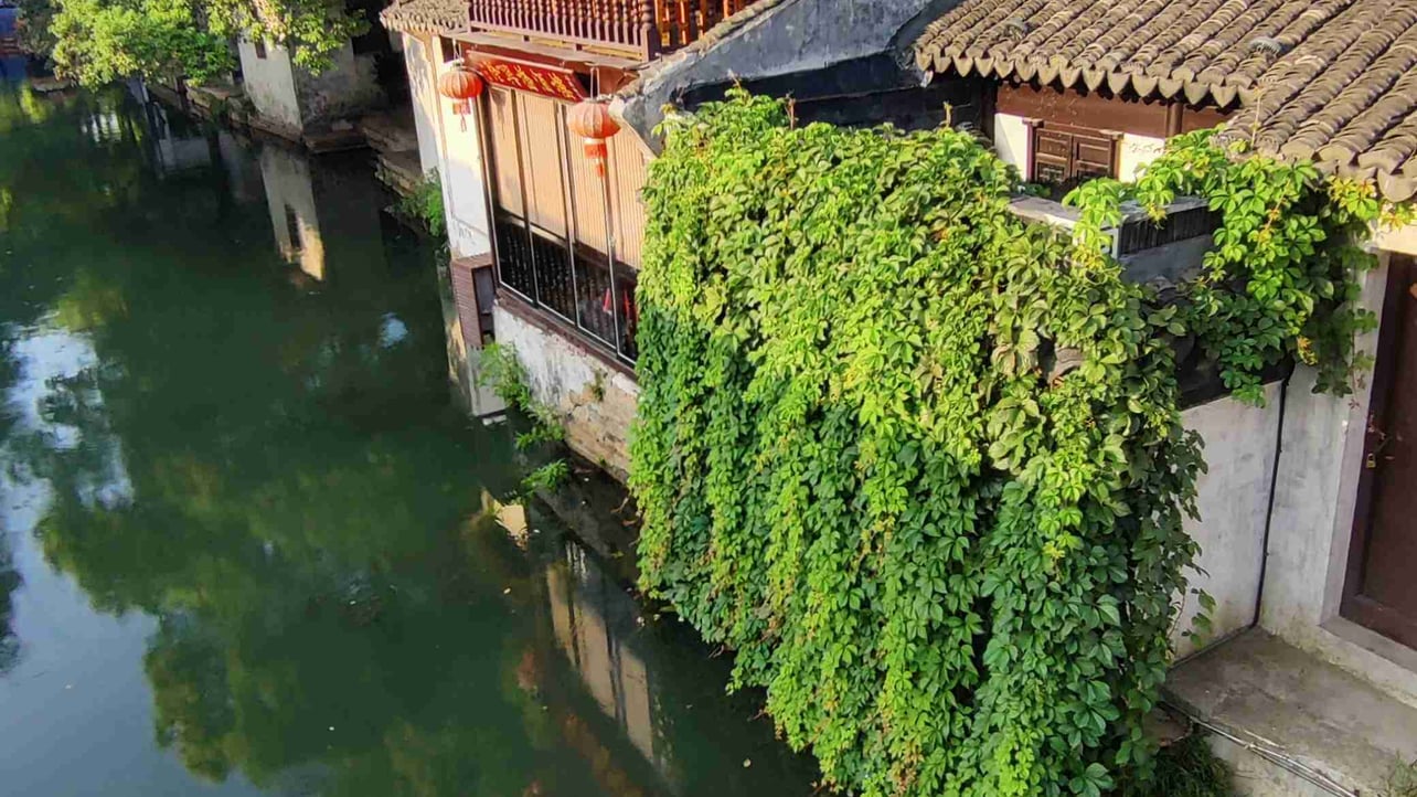 zhuimengre (zhuimengren.lens) Lens social identity (.lens handle) PFP