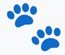 questionnaire pfp