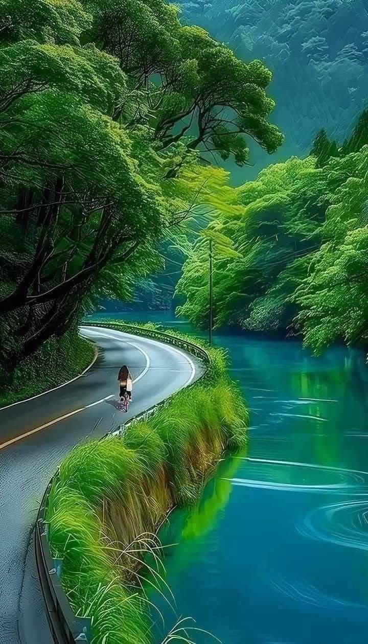 https://imagedelivery.net/BXluQx4ige9GuW0Ia56BHw/6fc5b0f1-77a6-40d7-d5ed-c905ec771f00/original