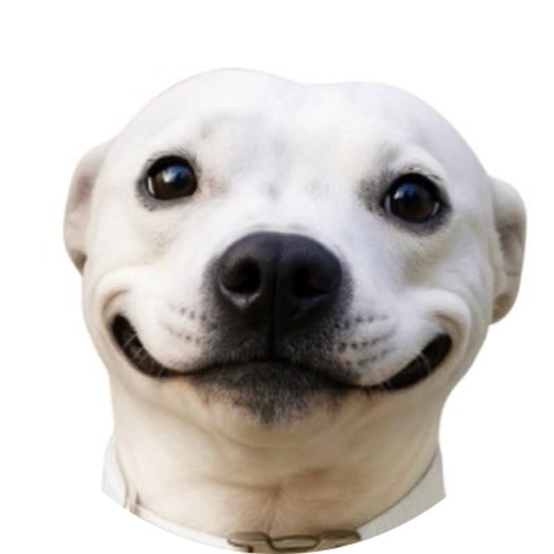 Buddy