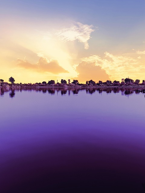 https://imagedelivery.net/BXluQx4ige9GuW0Ia56BHw/7036caeb-49b0-461c-5270-db0dffc8af00/original