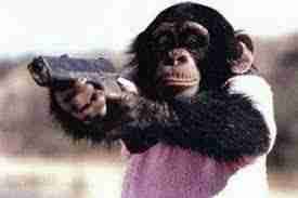 meruertsa Farcaster social identity (Fname handle) PFP