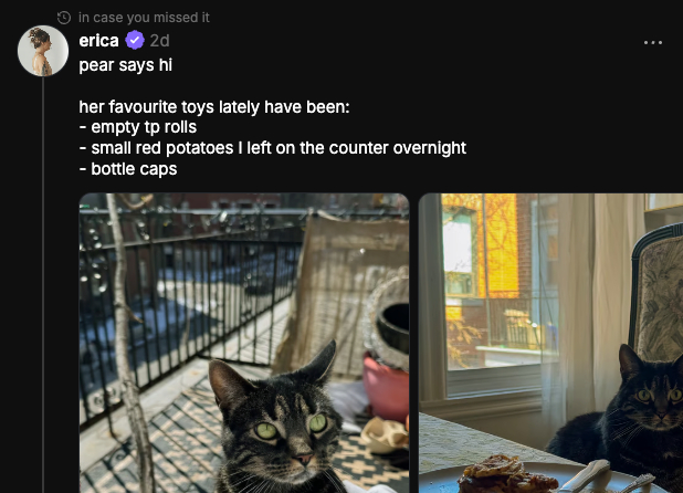 Embed from @farcaster