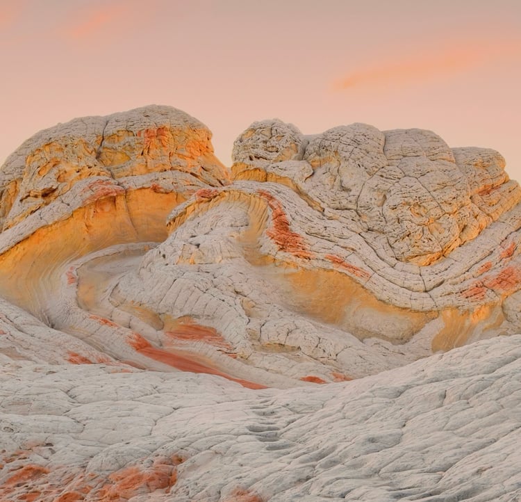 hienho Farcaster social identity (Fname handle) PFP