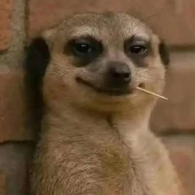 Utility!🤫 pfp