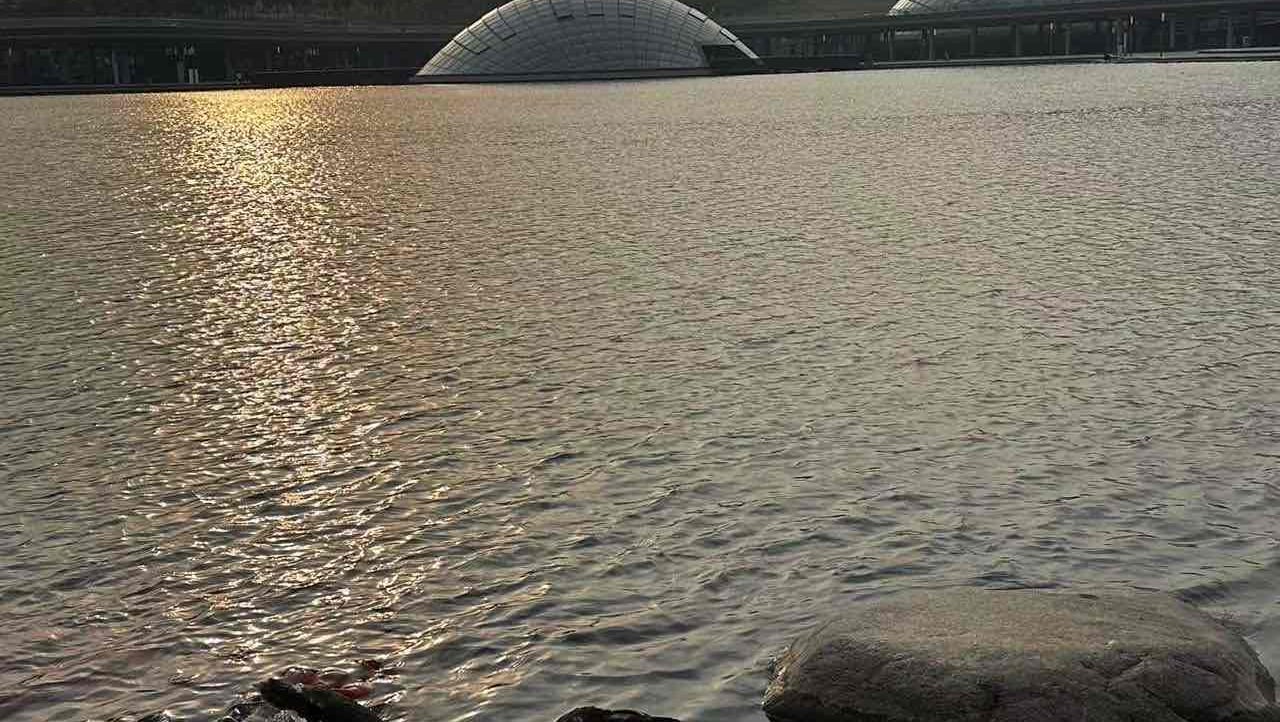 zeekrenergy.lens Lens social identity (.lens handle) PFP