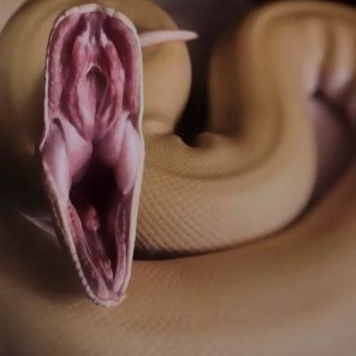 Rade pfp