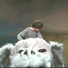 onoscity.lens Lens social identity (.lens handle) PFP