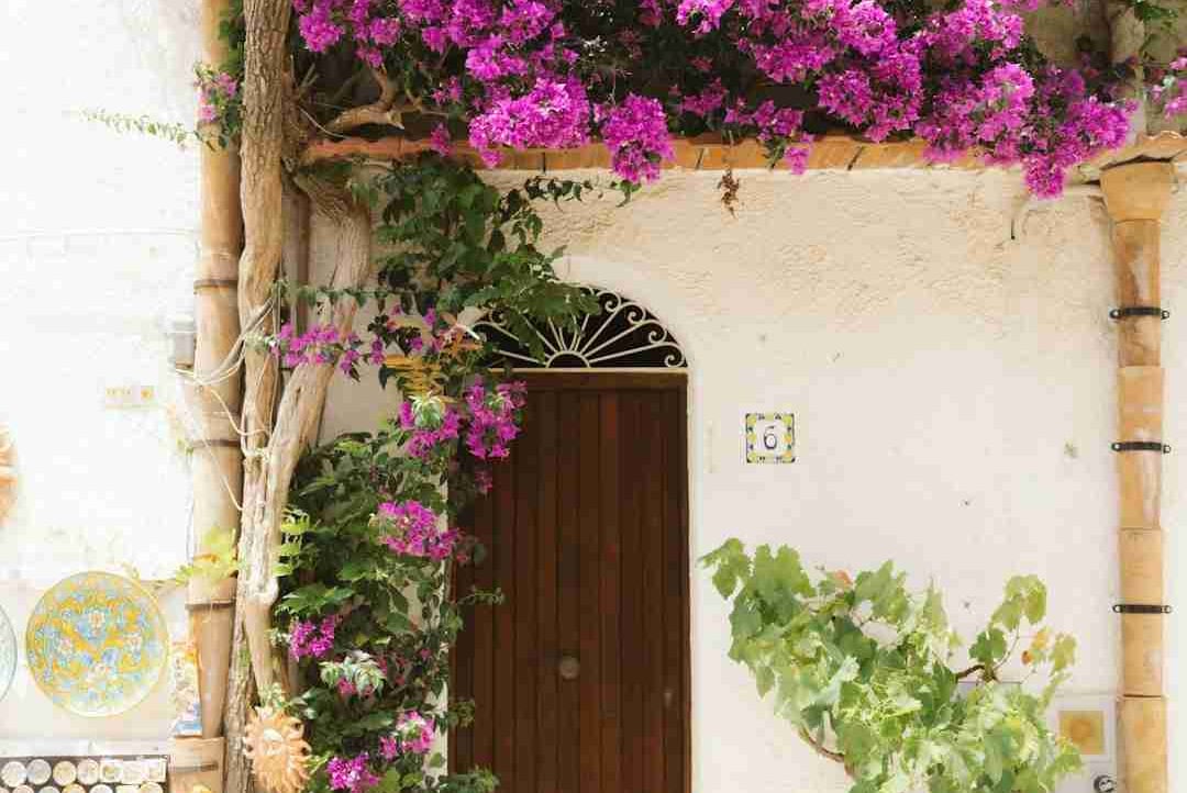 canvas (canvase) Farcaster social identity (Fname handle) PFP