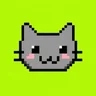 CAT Coin