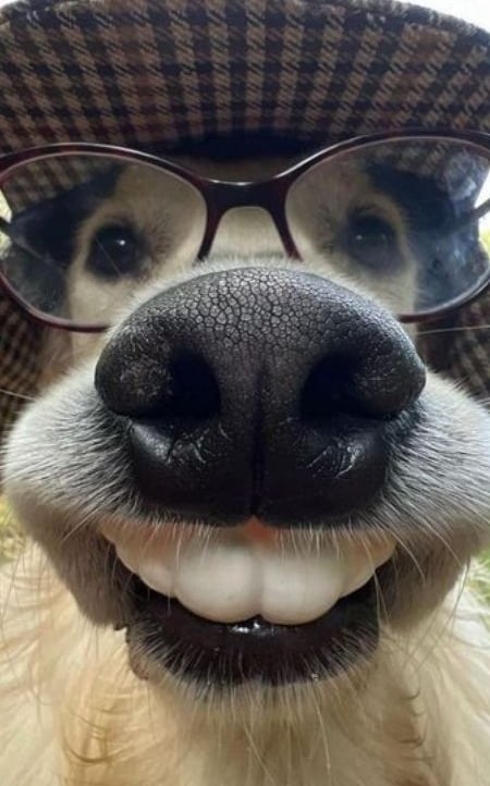 Ngaiap (ngaiap1202) Farcaster social identity (Fname handle) PFP