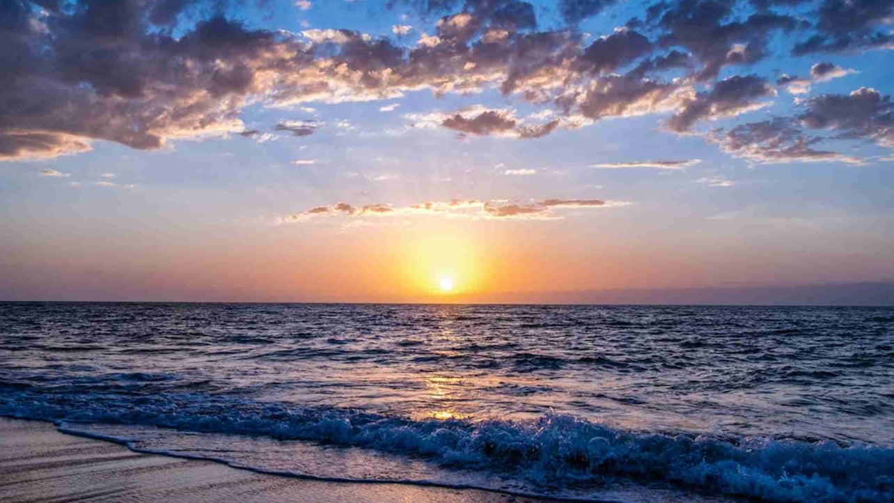 Seth17 (seth17) Farcaster social identity (Fname handle) PFP