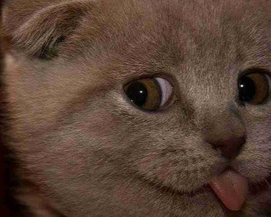 Armands (armandss22) Farcaster social identity (Fname handle) PFP