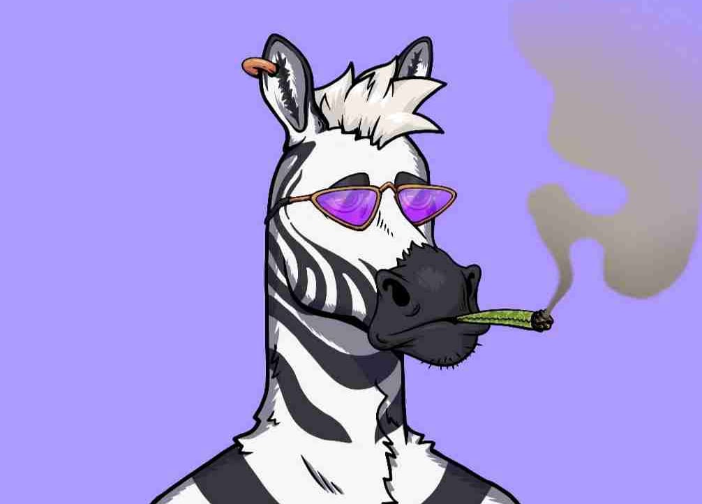 Zebra 🎩⛓️🔵🐹 pfp