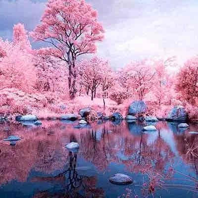 Long37 (long37) Farcaster social identity (Fname handle) PFP